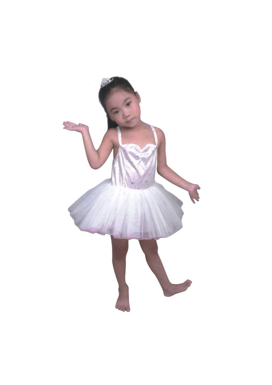 Small Pink Shiny Fairy Princess Tutu Girl's Costume